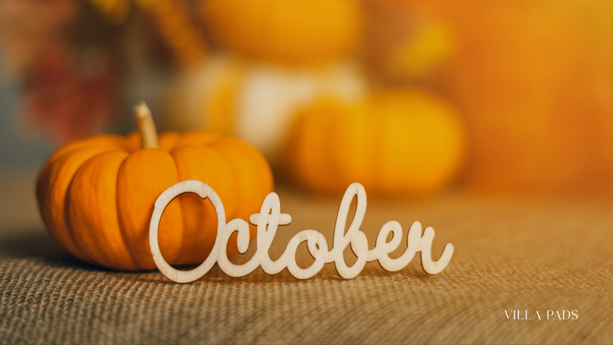 October Miami Halloween Villa
