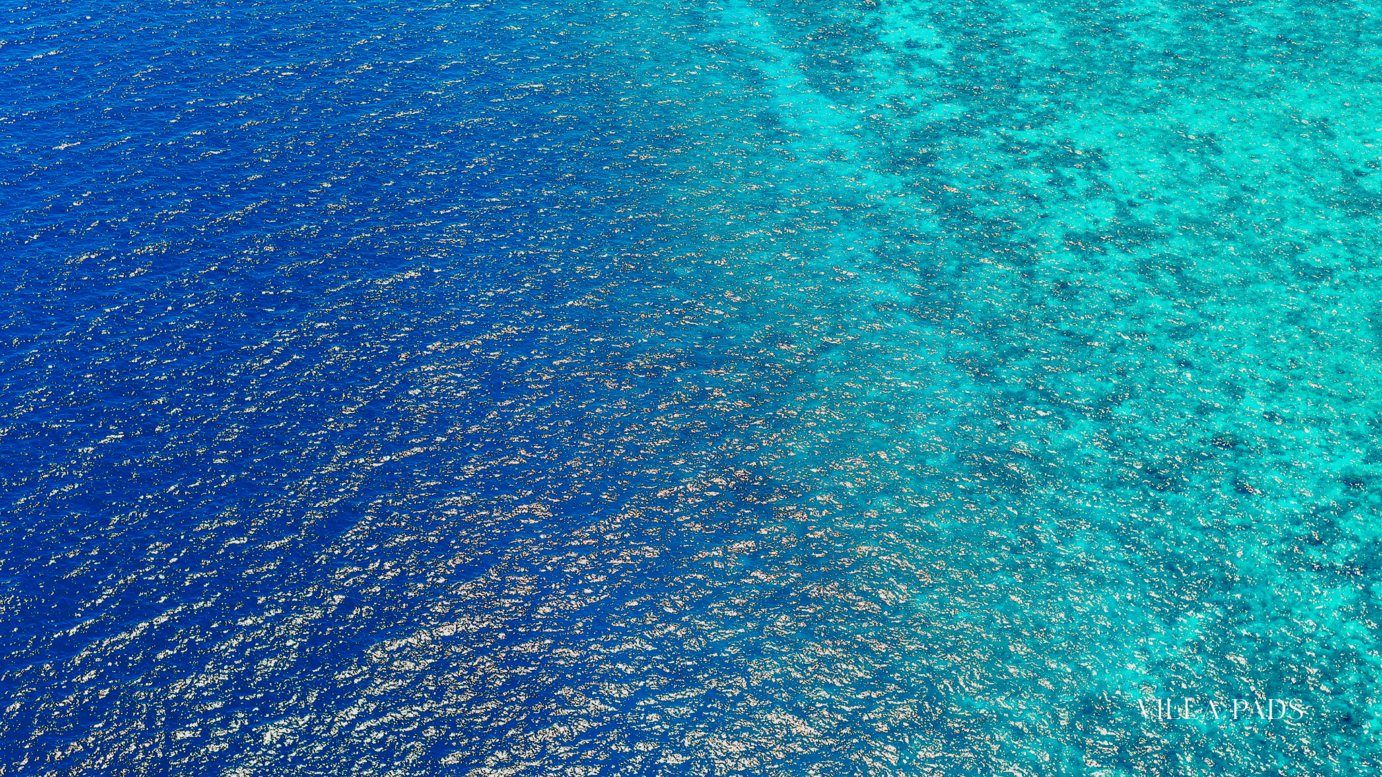 Grand Turk Island Diving