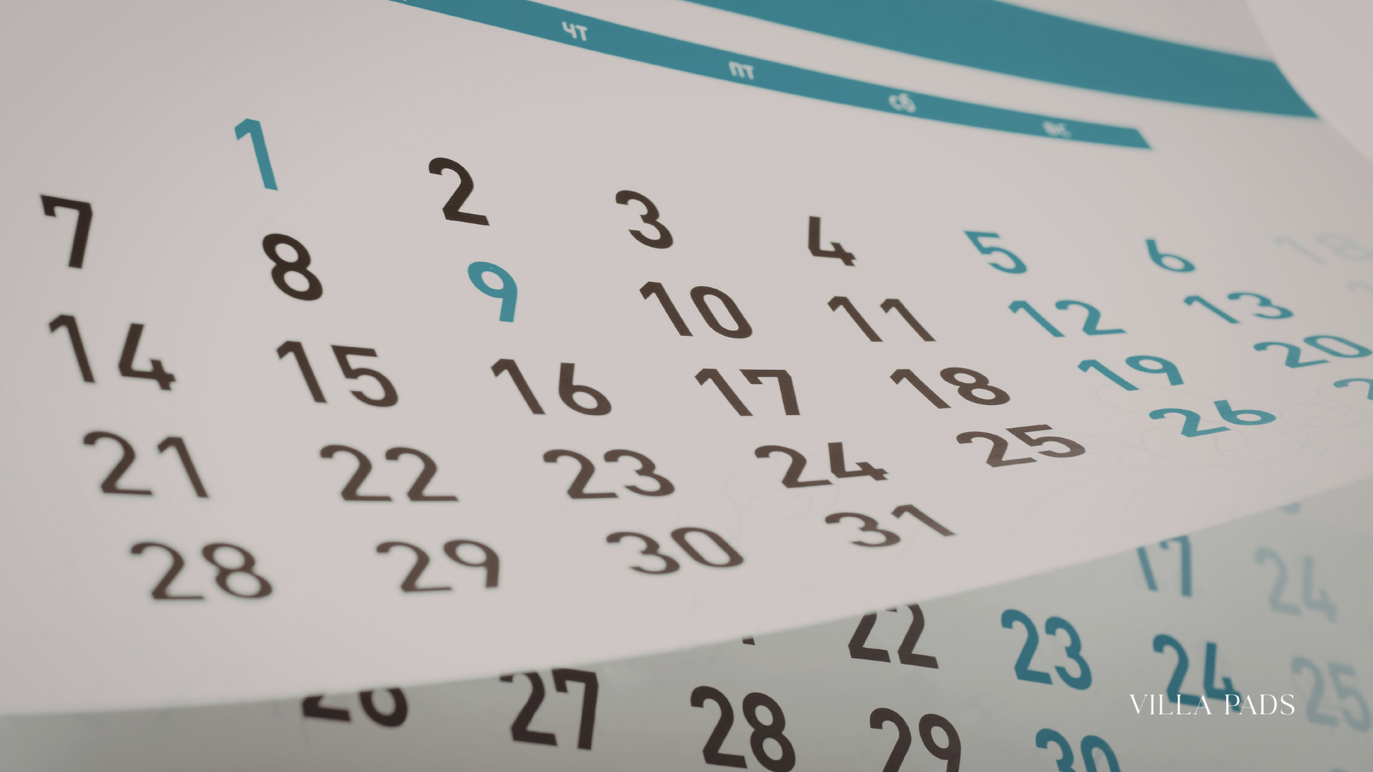 Marbella Packing Month