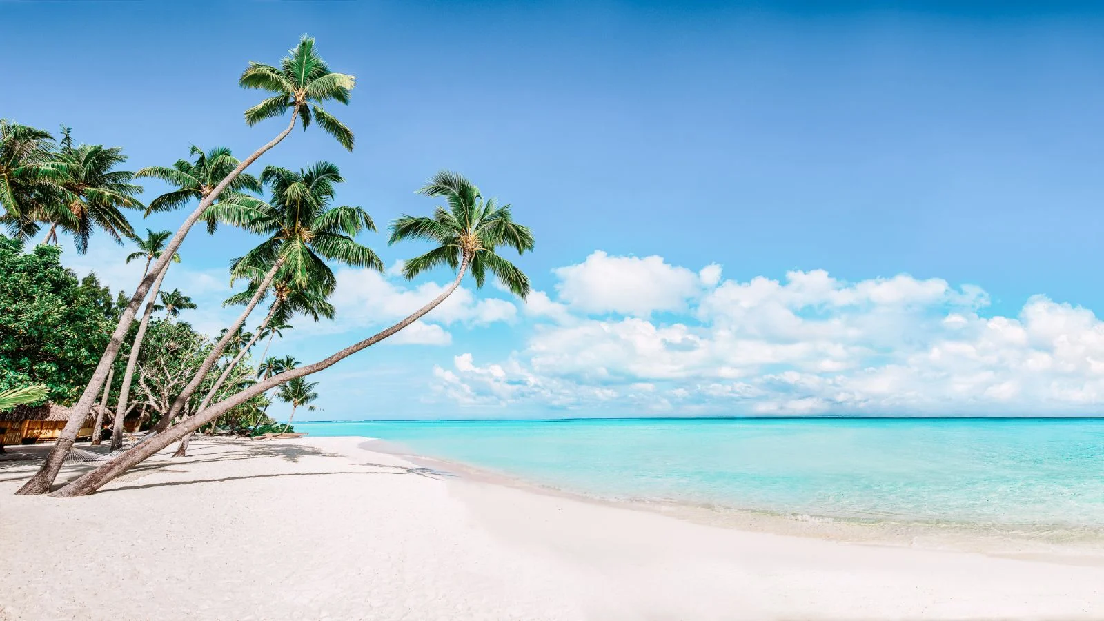 Perfect Weather Caribbean Sunny Beach