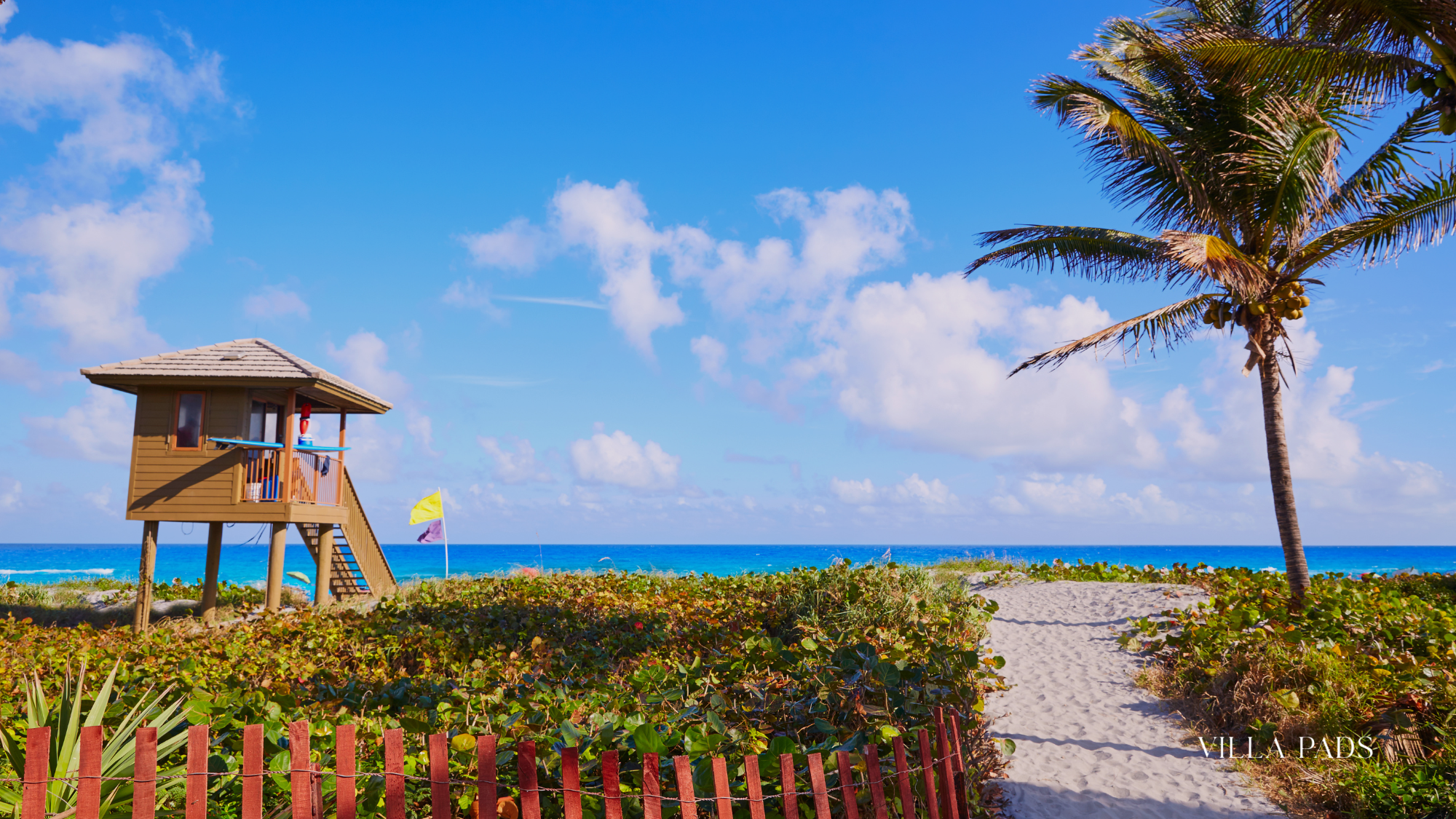 Delray Atlantic Avenue Romance