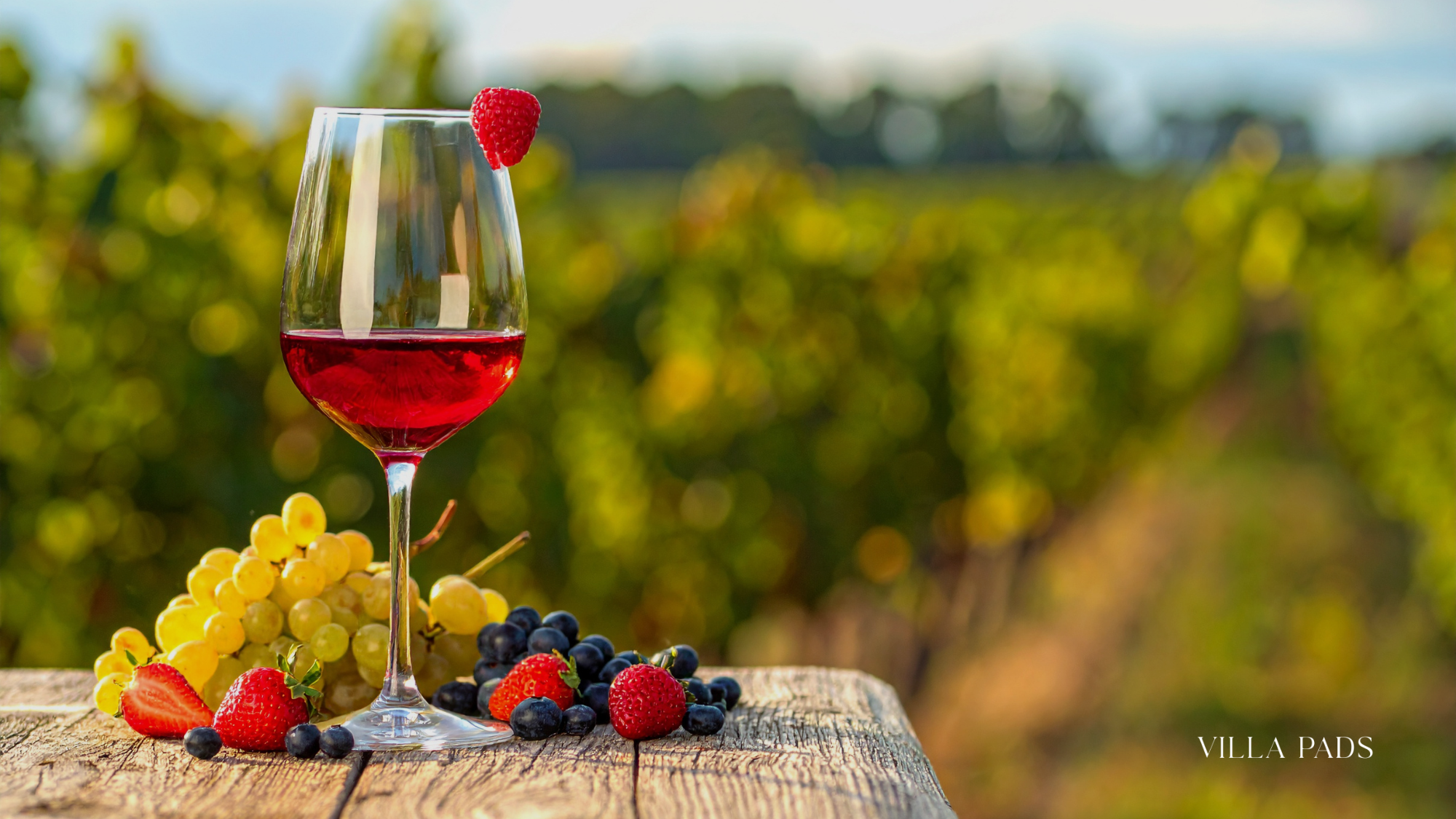 Miami Vineyard Wine Tasting