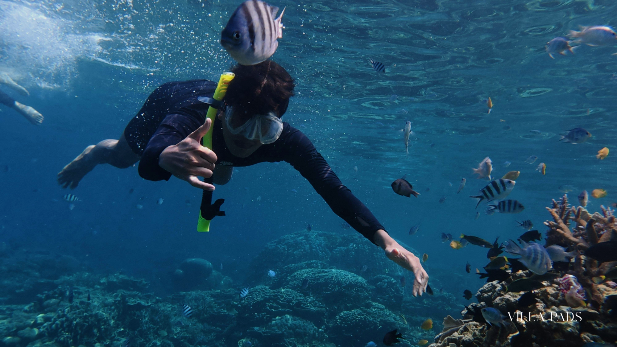 Grace Bay Snorkeling Adventure