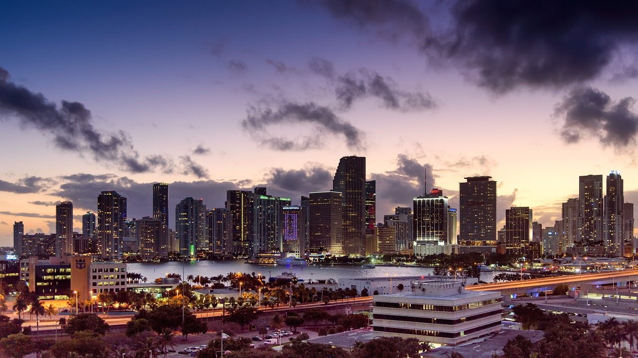 Miami Nightlife Skyline