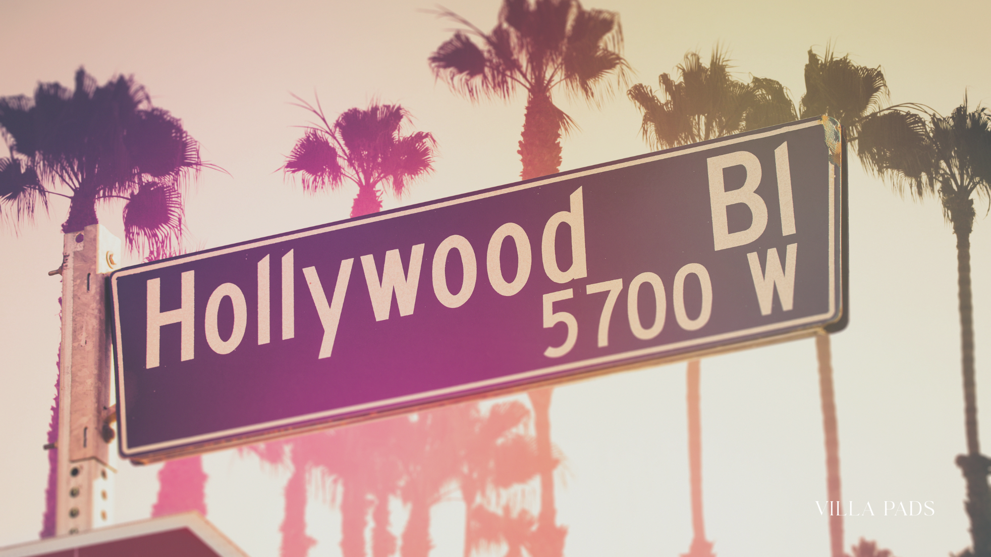 Bar Lis Thompson Hollywood