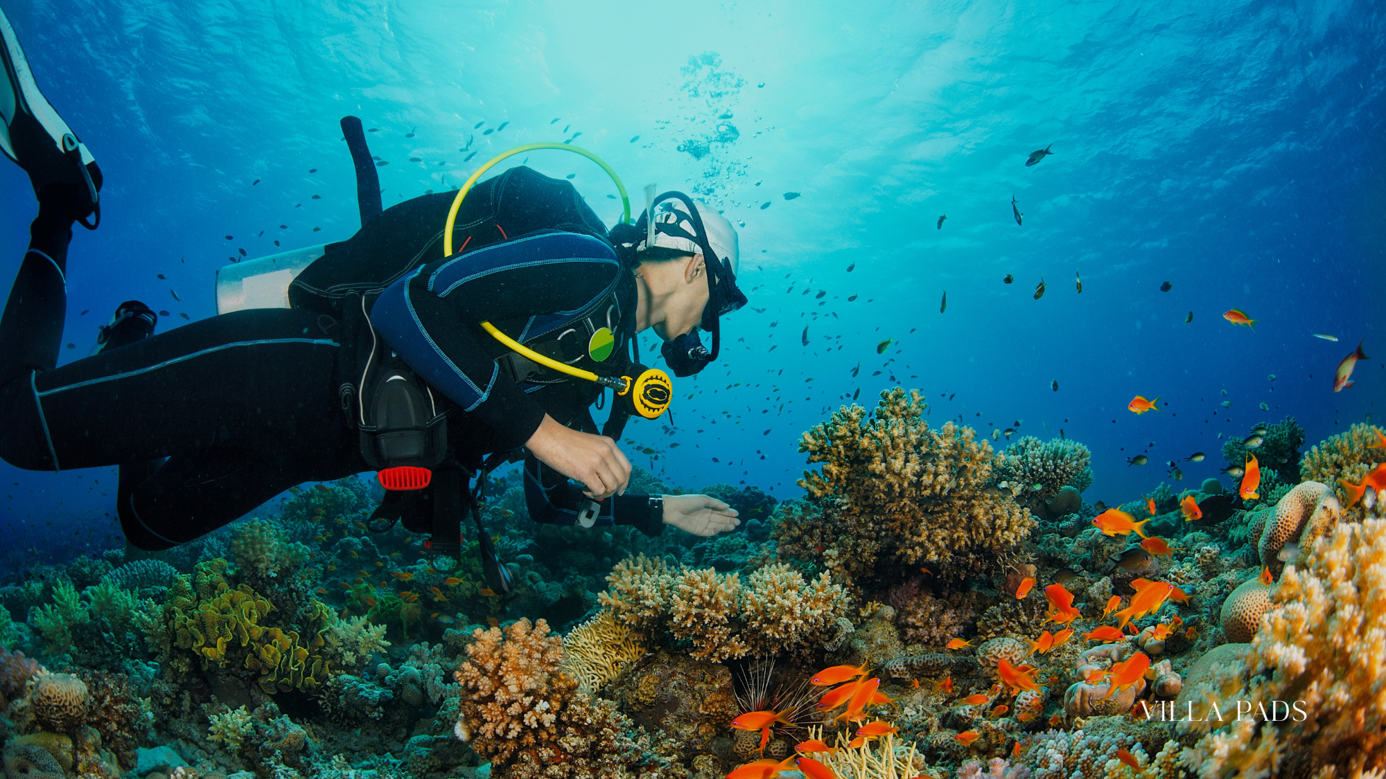 Planning Scuba Diving Turks And Caicos