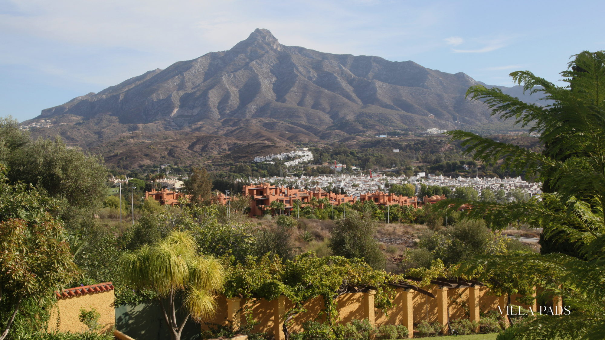 Marbella Visit Interest