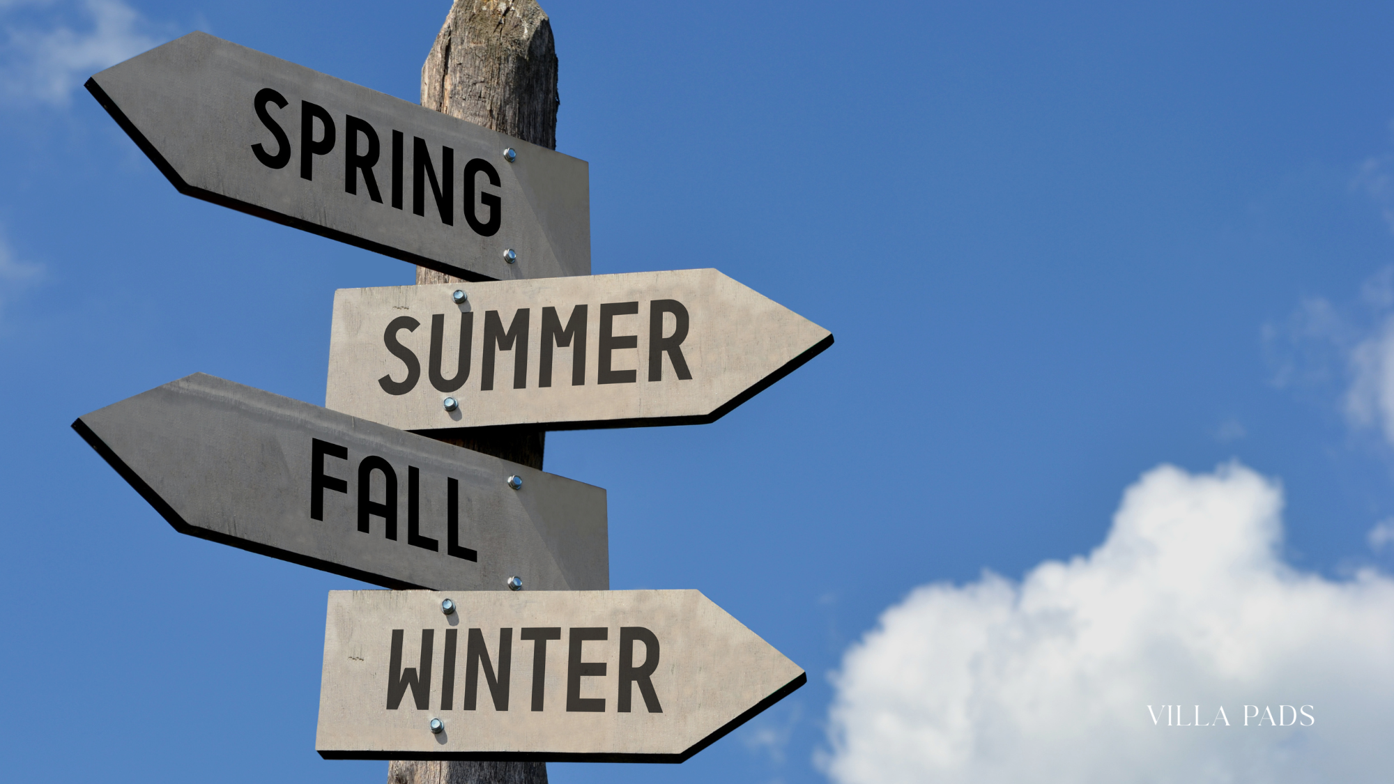 Winter Vs Summer Aspen