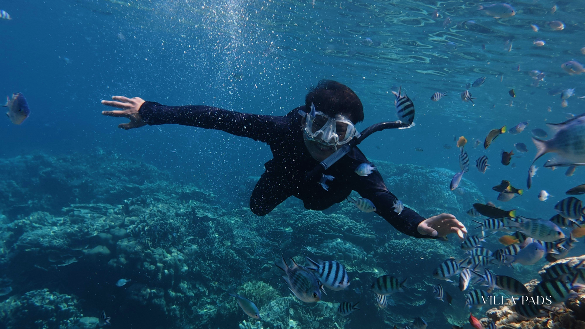Family Friendly Snorkeling Turks Caicos
