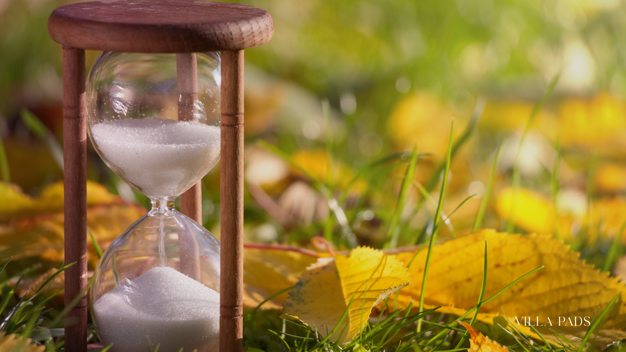 Seasonality Timing Family Gathering