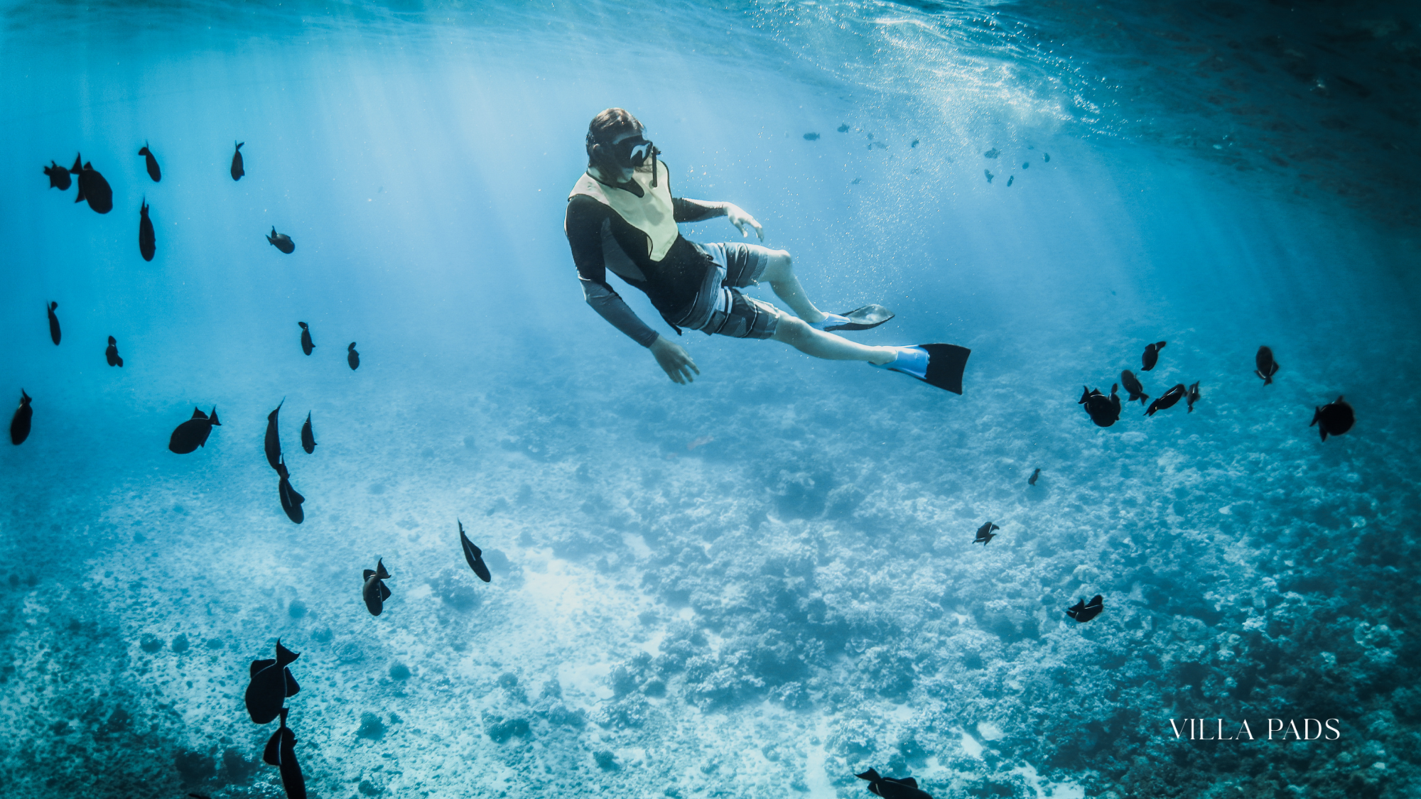 Eco Friendly Snorkeling Turks Caicos