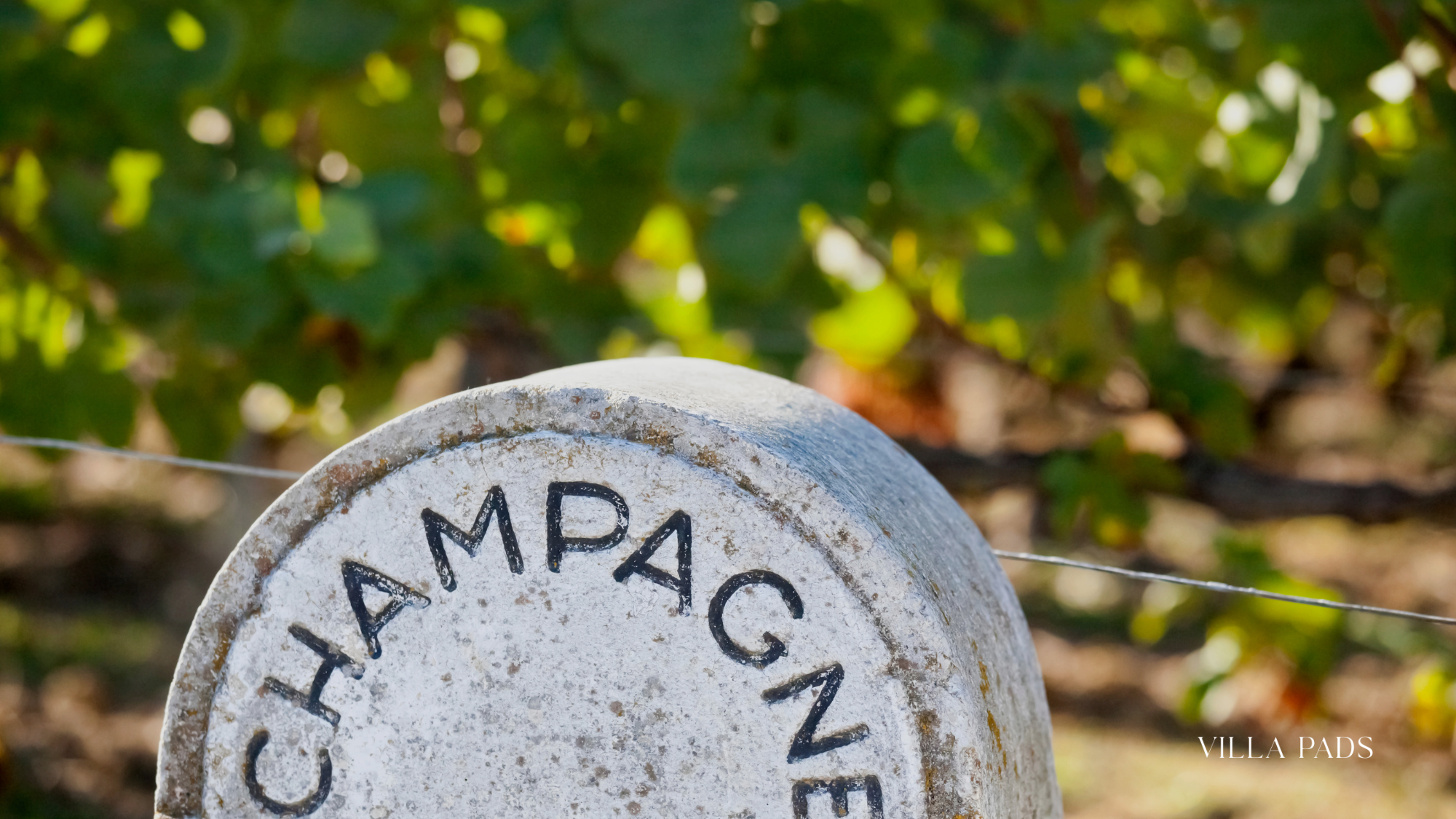 Champagne Region French Luxury