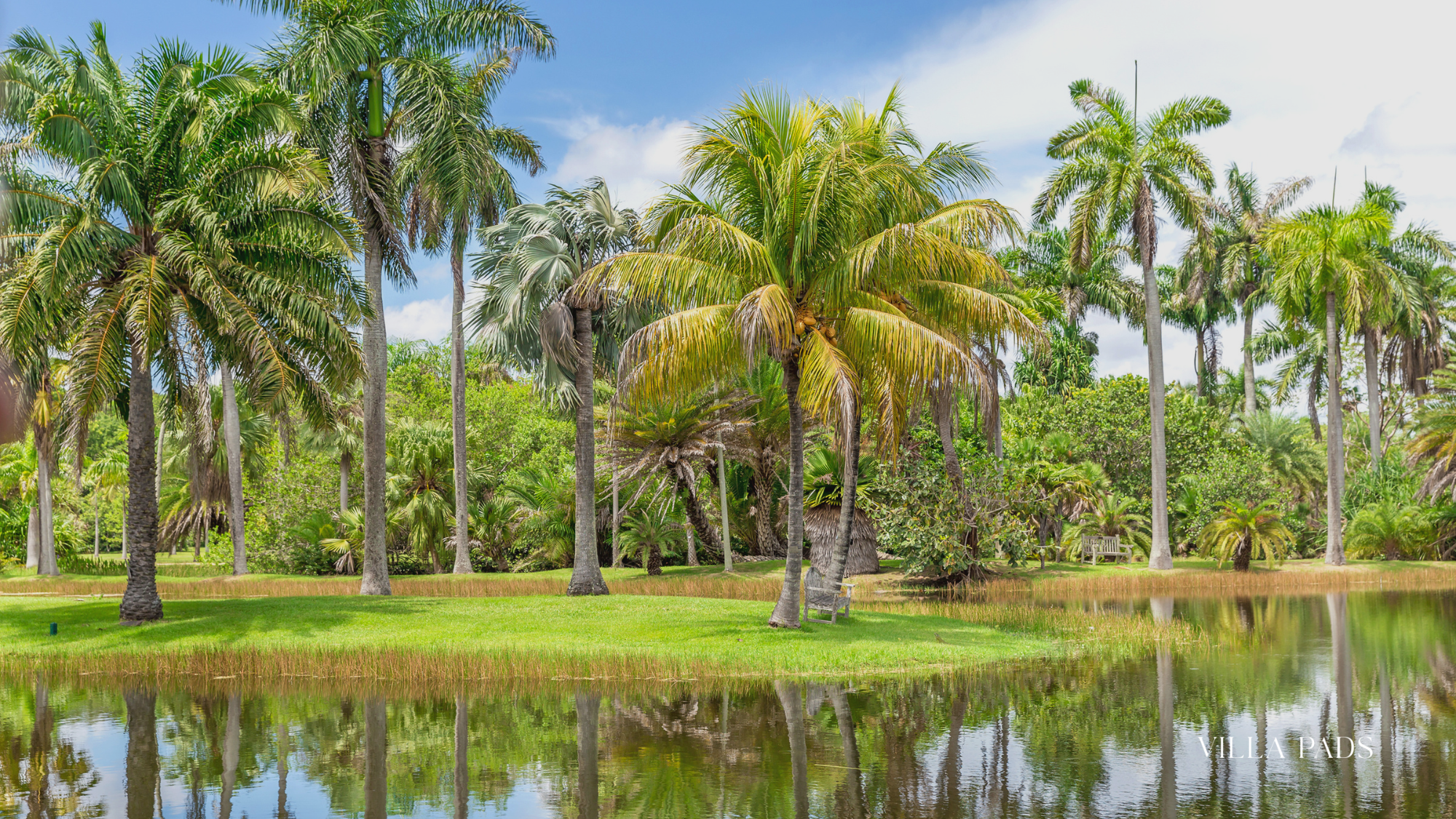 Fairchild Garden Miami Fall